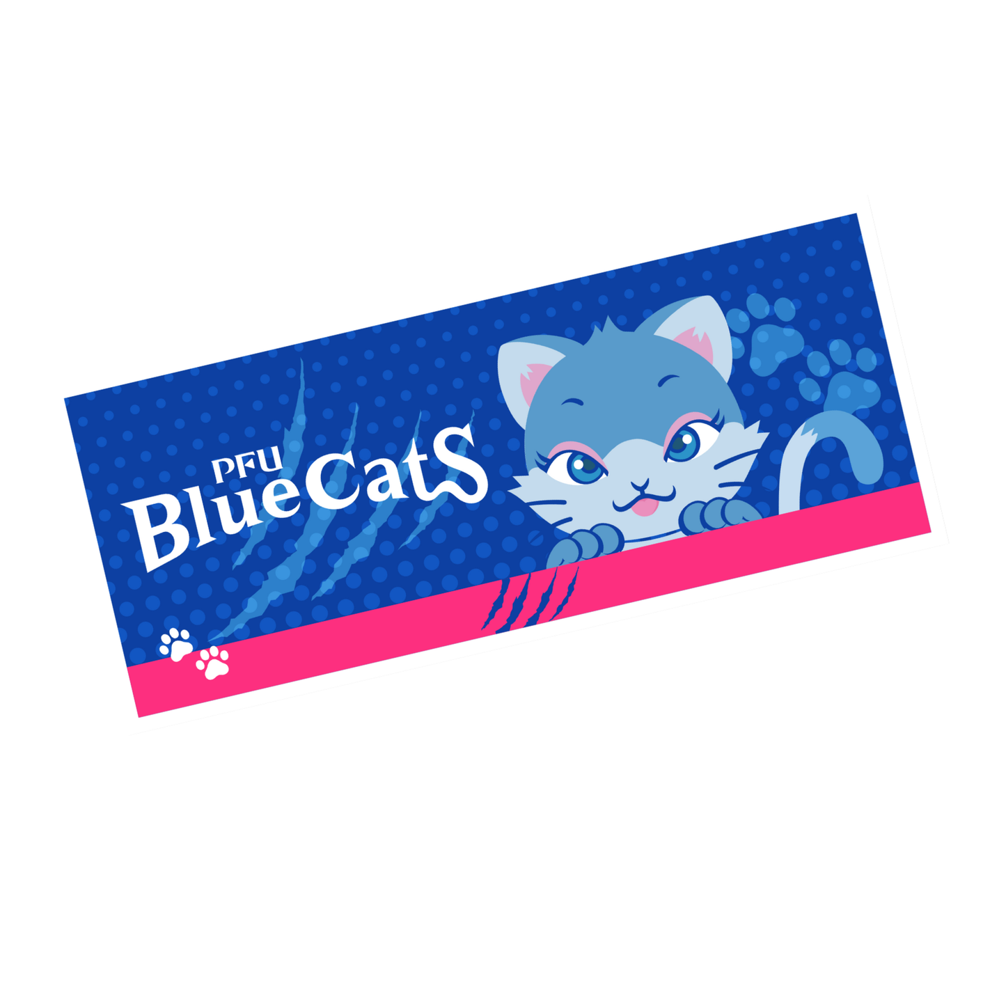 チームフェイスタオル2025-26