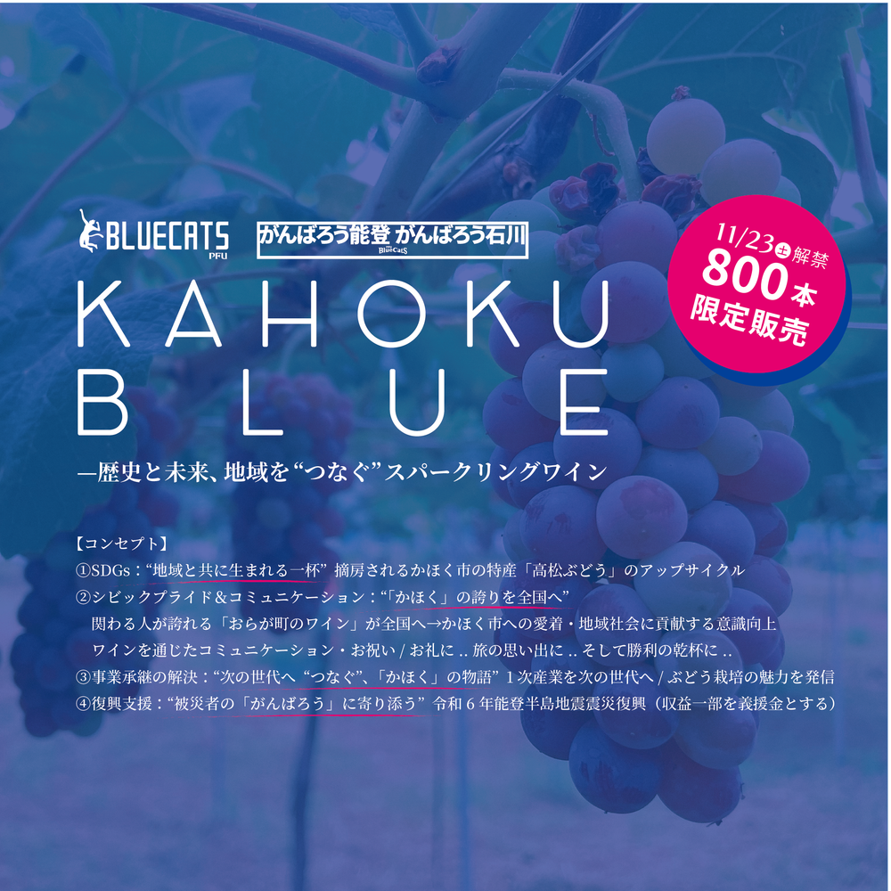 KAHOKU BLUE PFU ブルーキャッツ石川かほく