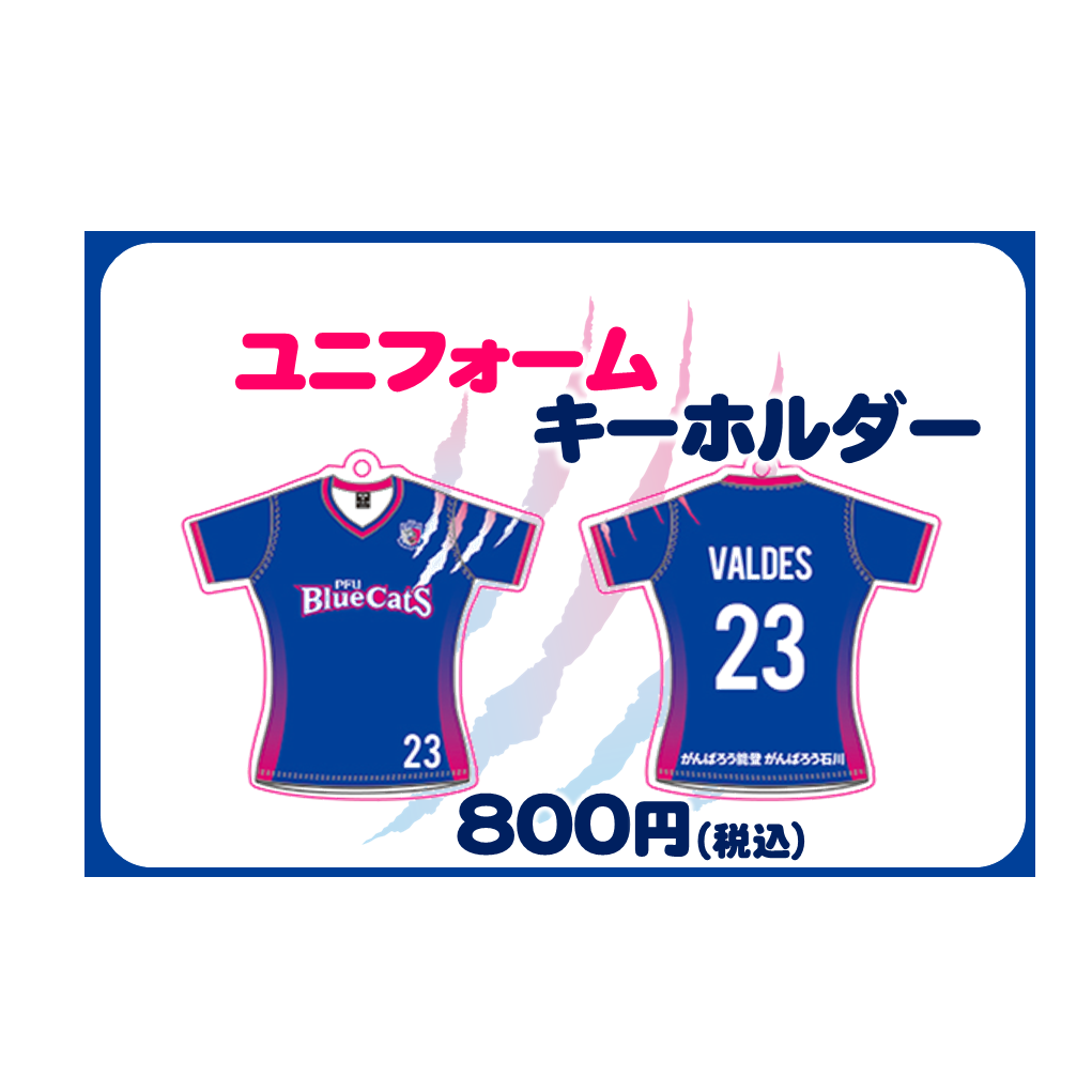 選手別ユニフォームキーホルダー  売切れ